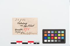 Etiketten zu Bronzemehrkopfnadel (NHMW-PRAE-024802)